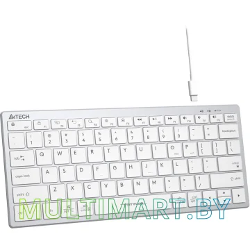 Клавиатура A4Tech Fstyler FX51 (серебристый/белый) картинка 4